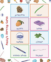 Sort it out! activities